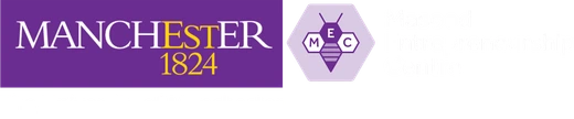 The University of Manchester, Masood Entrepreneurship Centre